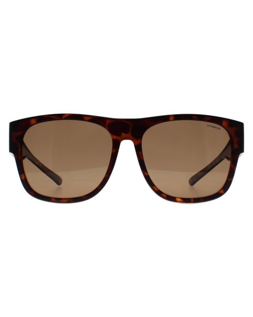 Polaroid Brown Square Matte Havana Bronze Polarized Pld 9010/S Fitover