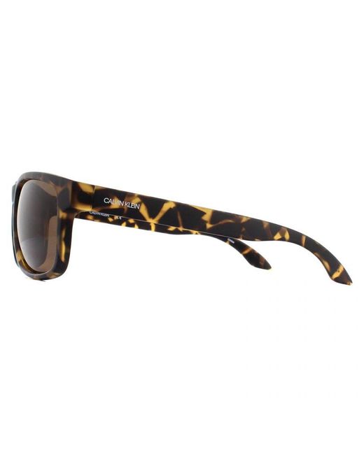 Calvin Klein Brown Rectangle Matte Dark Tortoise Sunglasses for men