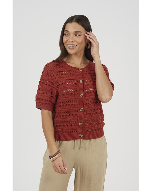 Brave Soul Red Amber Short Sleeve Pointelle Knit Crew Neck Cardigan