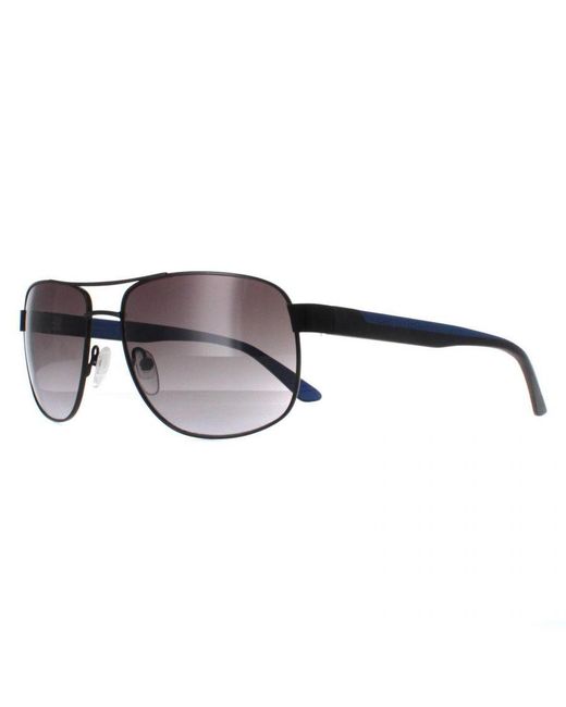 Calvin Klein Brown Aviator Matte Cobalt Ck20319S Metal for men