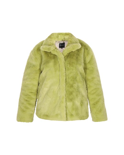 faina Jas Groente in het Green