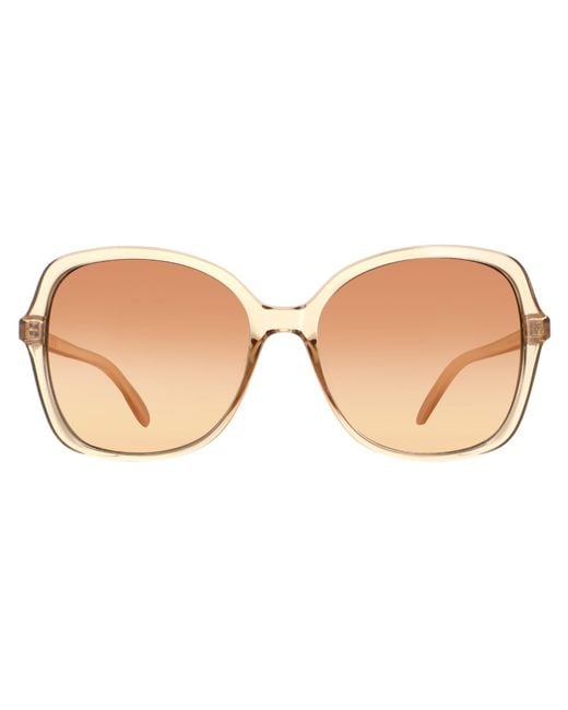 Calvin Klein Brown Butterfly Crystal Gradient Ck19561S