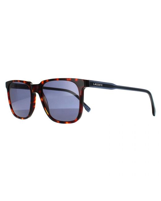 Lacoste Blue Square Havana Solid Sunglasses