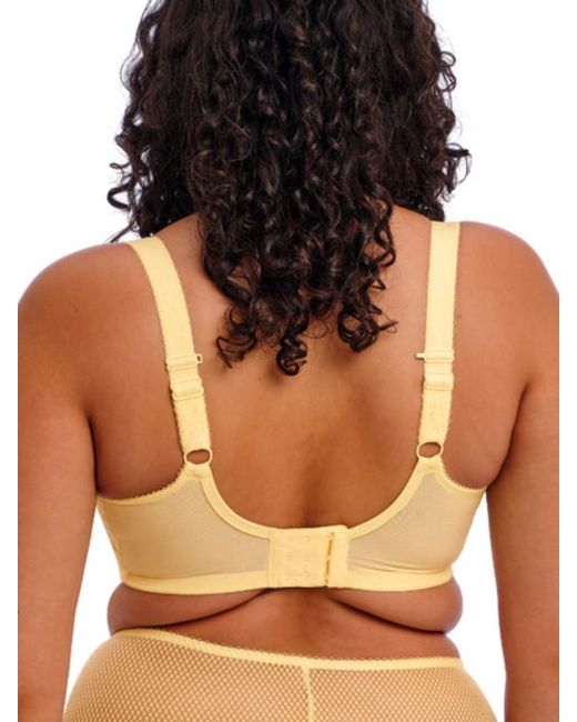 Elomi Brown Charley Stretch Plunge Bra