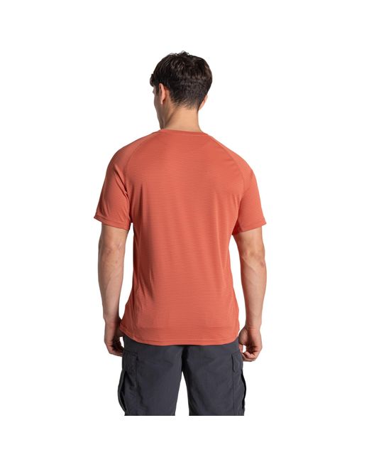 Craghoppers Orange Nosilife T-Shirt (Dark Sahara) for men