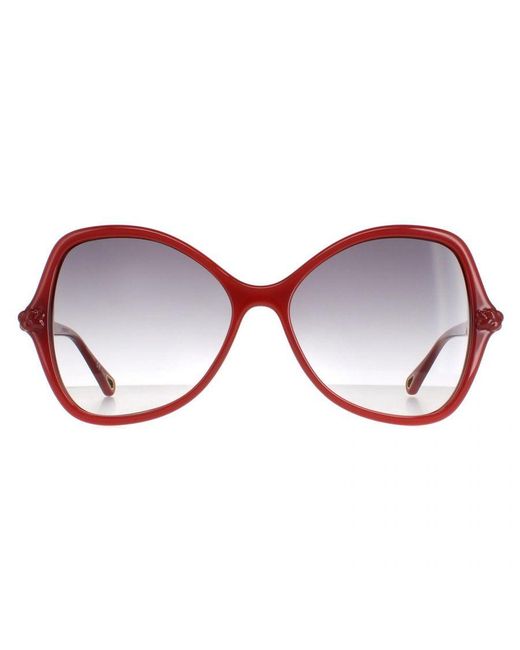 Chloé Brown Chloé Butterfly Dark Gradient Ch0001S