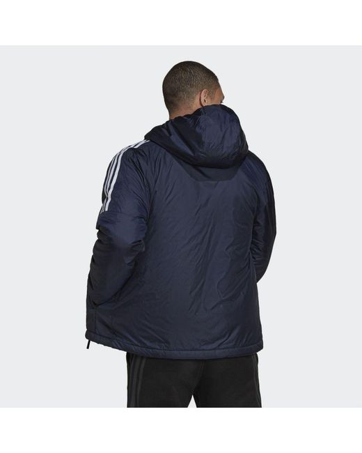 Adidas Blue Essentials Insulated Hooded Jacket for men