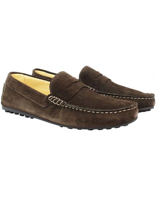 John White Brown Amalfi Shoes Suede for men