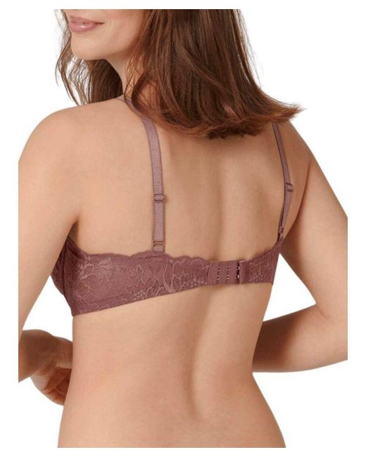 Triumph Brown Amourette Charm Padded Bra