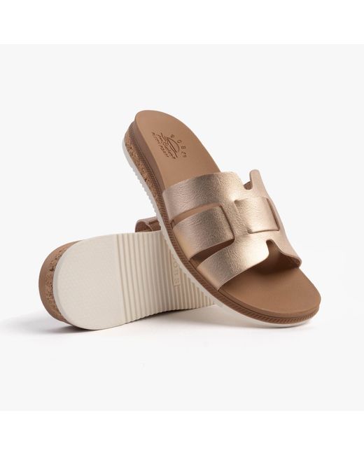 Skechers Brown Bobs Desert Kiss Low