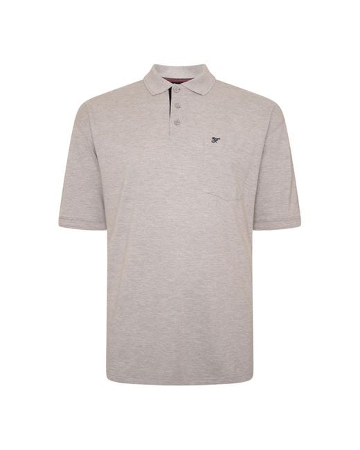 Forge Gray Plus Size Polo Shirt for men