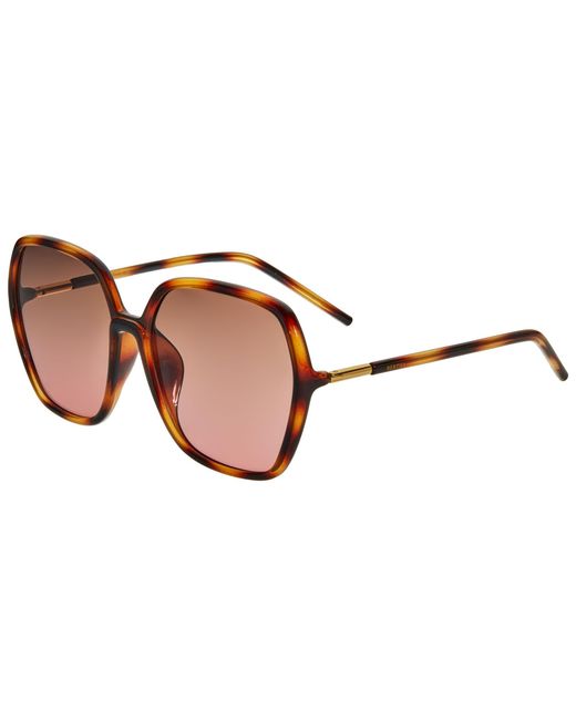 Bertha Brown Priscilla Polarized Sunglasses