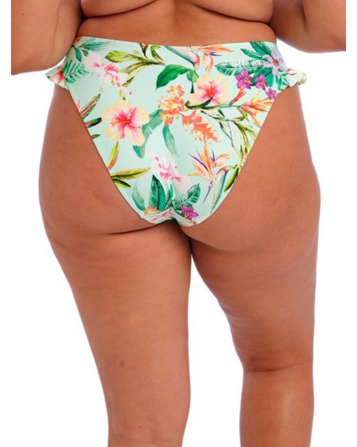 Elomi Green Sunshine Cove High Leg Brief