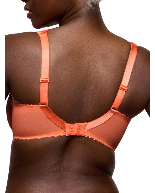 Primadonna Orange Devdaha Full Cup Bra Sunset Blush