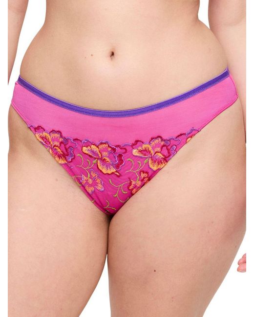 Primadonna Pink Devdaha Thong Very Berry