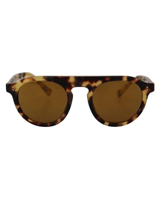 Dolce & Gabbana Brown Gorgeous Oval Sunglasses With Lenses And Tortoiseshell Frames