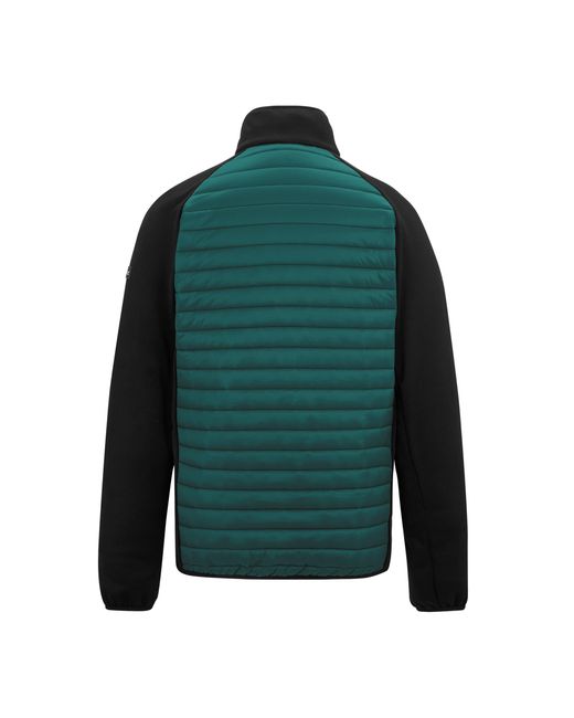 Regatta Green Clumber Hybrid Jacket (Mediterranean/ for men