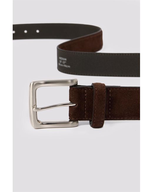 Limehaus Brown Belt for men
