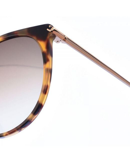 Lacoste Brown Acetate And Metal Sunglasses With Oval Shape L928S