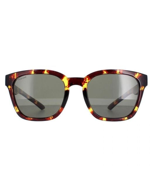 Smith Brown Square Tortoise Polarized Founder Slim for men