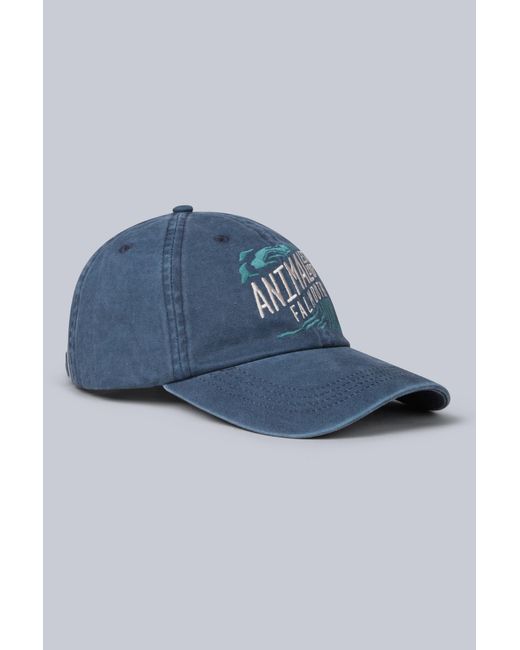 Mountain Warehouse Blue Regional Falmouth Baseball Cap Adjustable Head Strap Everyday Casual Hat Cotton for men