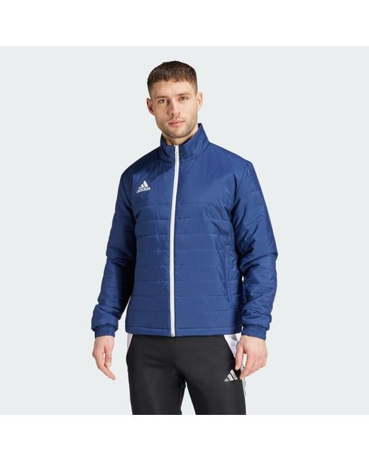 Adidas Originals Blue Entrada Light Jacket for men
