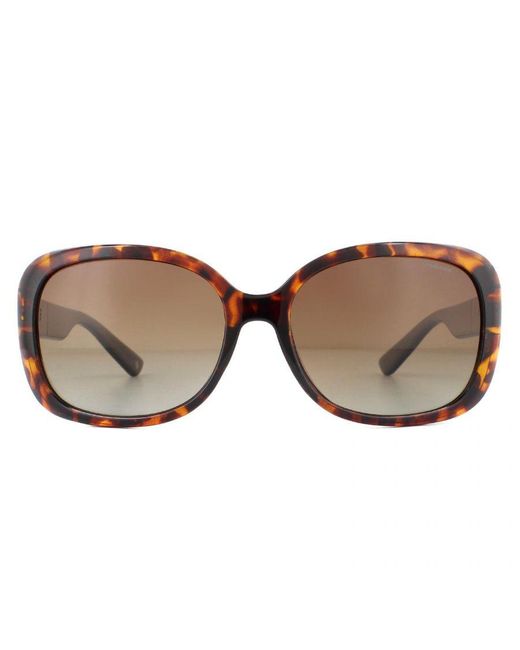 Polaroid Brown Butterfly Havana Gradient Polarized Sunglasses