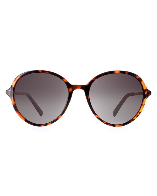 INVU Brown Round Demi Tortoise Polarized B2135 Metal