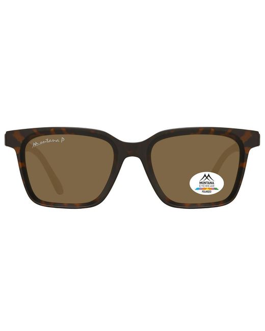 Montana Brown Square Matte Turtle Polarized Mp58
