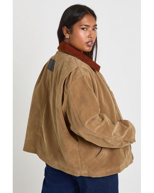 Boohoo Blue Plus Suede Collared Jacket