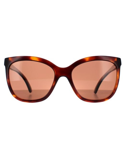 Serengeti Brown Rectangle Shiny Tortoise Mineral Polarized Drivers Agata for men
