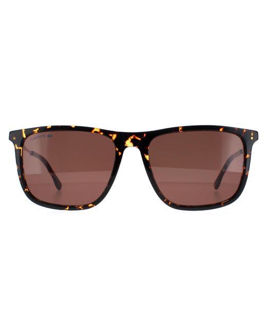 Lacoste Brown Square Havana L945S for men