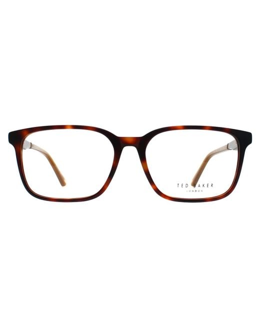 Ted Baker Brown Square Tortoise Tb8249 Farr for men