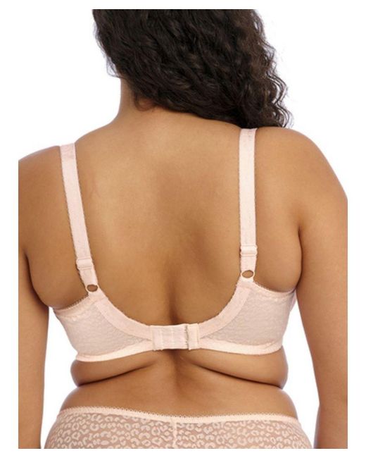 Elomi Pink Polyamide Plunge Underwire Bra