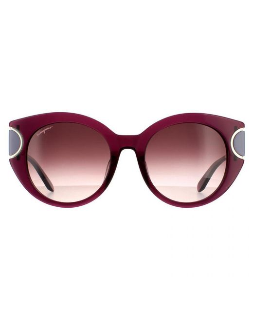 Ferragamo Brown Cat Eye Wine Gradient 90041091