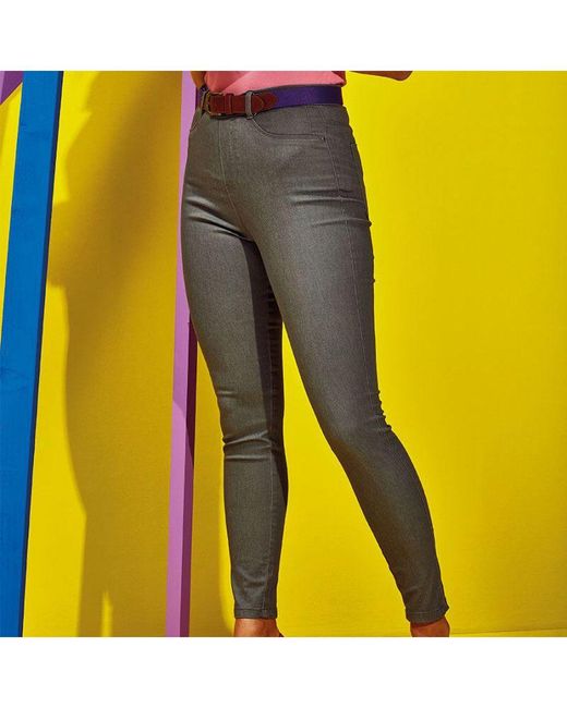 Asquith & Fox Gray Ladies Classic Fit Jeggings (Slate)