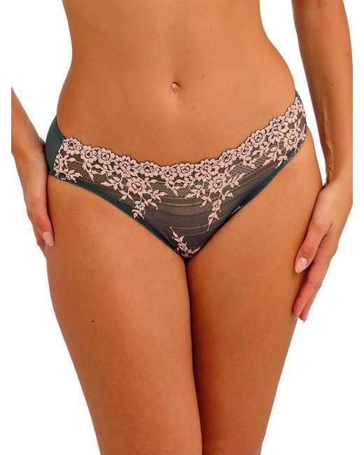 Wacoal Brown Embrace Lace Bikini Brief