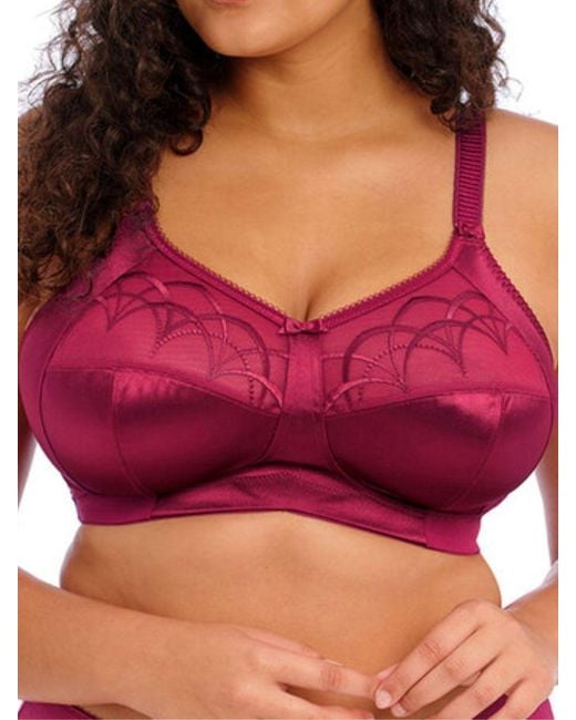 Elomi Cate Non Wired Bra Berry