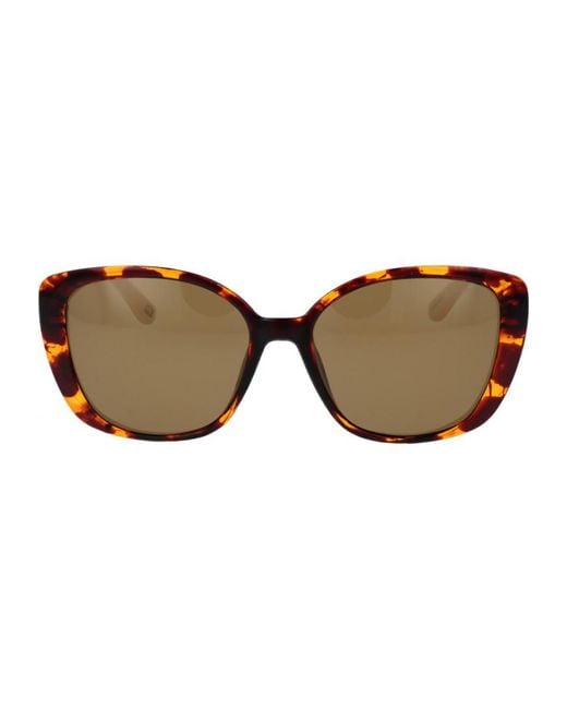 Skechers Brown Se6265 5652H 56 52H Sunglasses