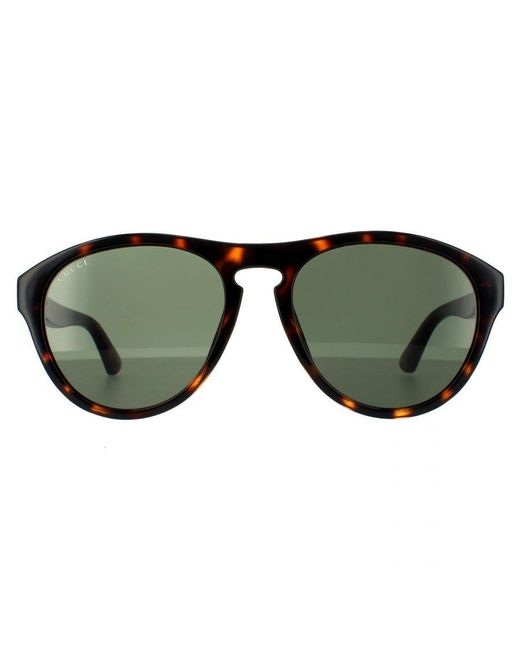 Gucci Green Aviator Havana Sunglasses for men