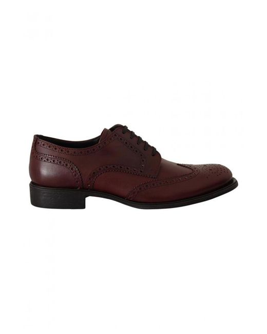 Dolce & Gabbana Brown Bordeaux Leather Oxford Wingtip Formal Shoes for men