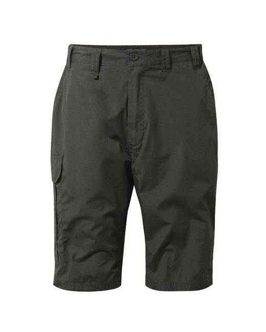 Craghoppers Gray Kiwi Long Shorts (Bark) for men