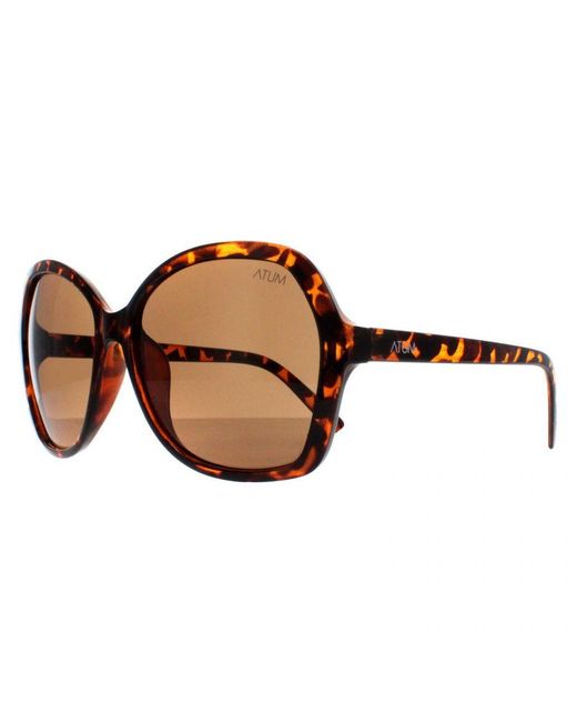 Atum Brown Butterfly Shiny Havana Gradient Aelius