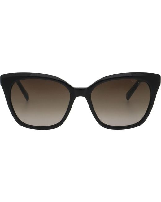 Ted Baker Brown Lina Sunglasses for men