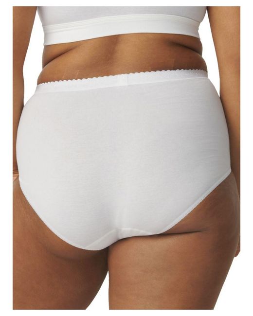 Sloggi Brown Control Maxi Briefs