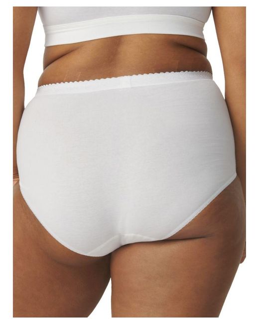 Sloggi Brown Control Maxi Briefs