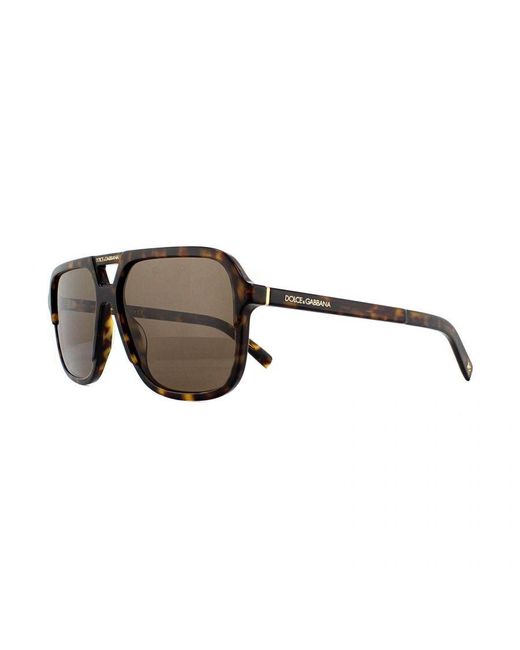 Dolce & Gabbana Brown Sunglasses Dg4354 502/73 Havana Gradient for men