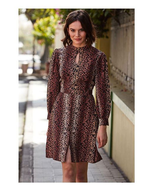 Sosandar Brown Leopard Print Fit & Flare Dress