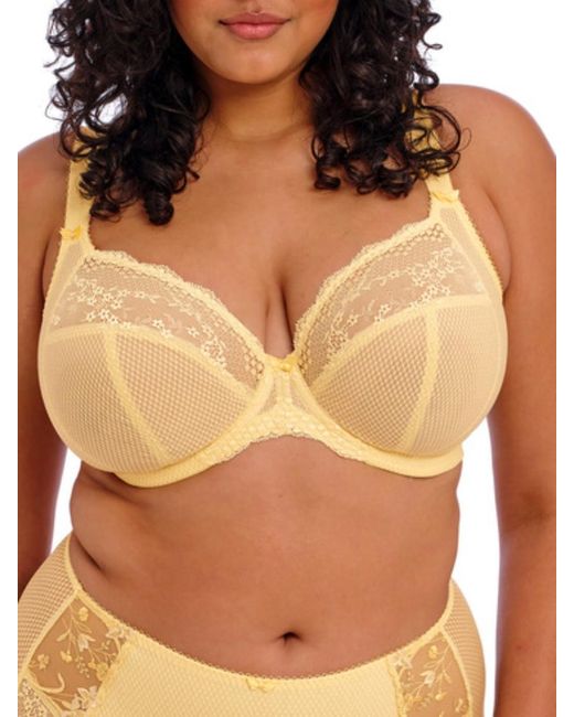 Elomi Brown Charley Stretch Plunge Bra