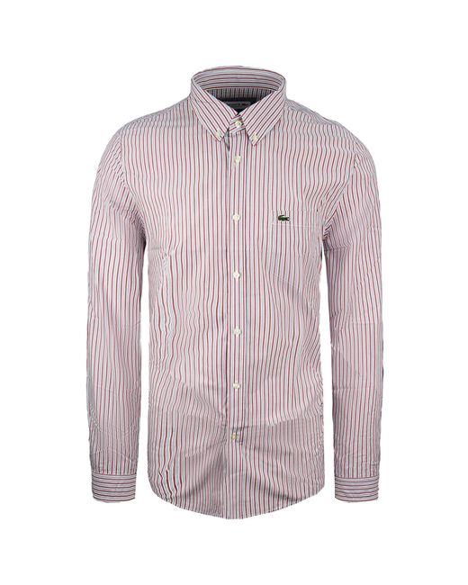 Lacoste Purple Regular Fit Long Sleeve Striped Button Up Cotton Shirt Ch1577 Bvt Multicolour for men